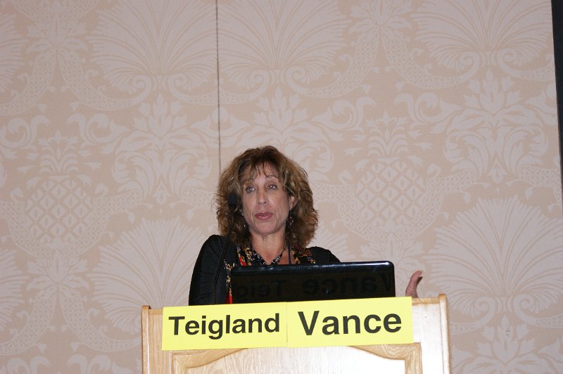 DSC04847.JPG - AMDA’s Quality Measurement Consultant, Christie Teigland, PhD, speaks to attendees during AMDA’s Advanced Intensive on MDS 3.0.